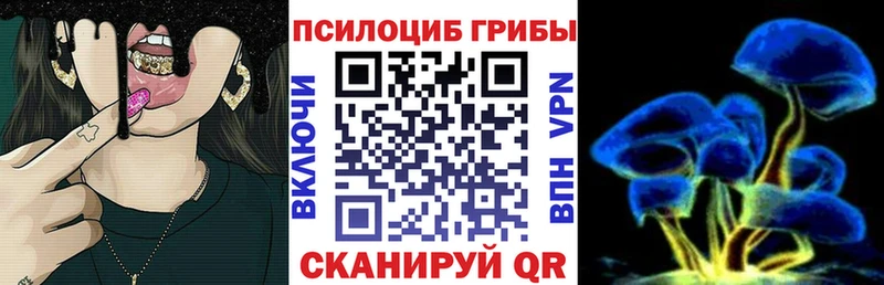 Псилоцибиновые грибы ЛСД  Купить где  Жуковка 